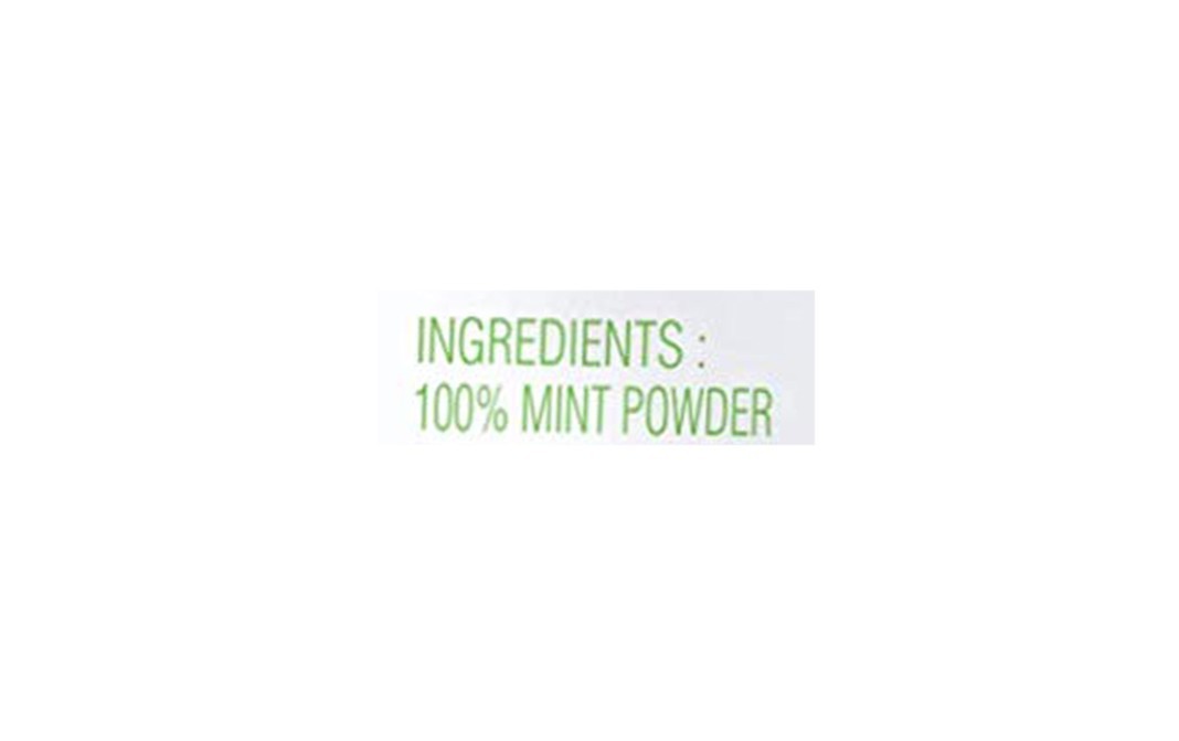 Nature's Gift Mint Leaves Powder    Pack  200 grams